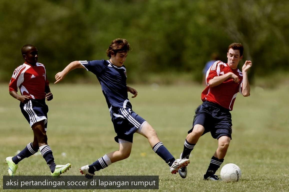 Streaming Nobar Legal: 5 Cara Penting Nonton Aman 3 streaming nobar legal lounge